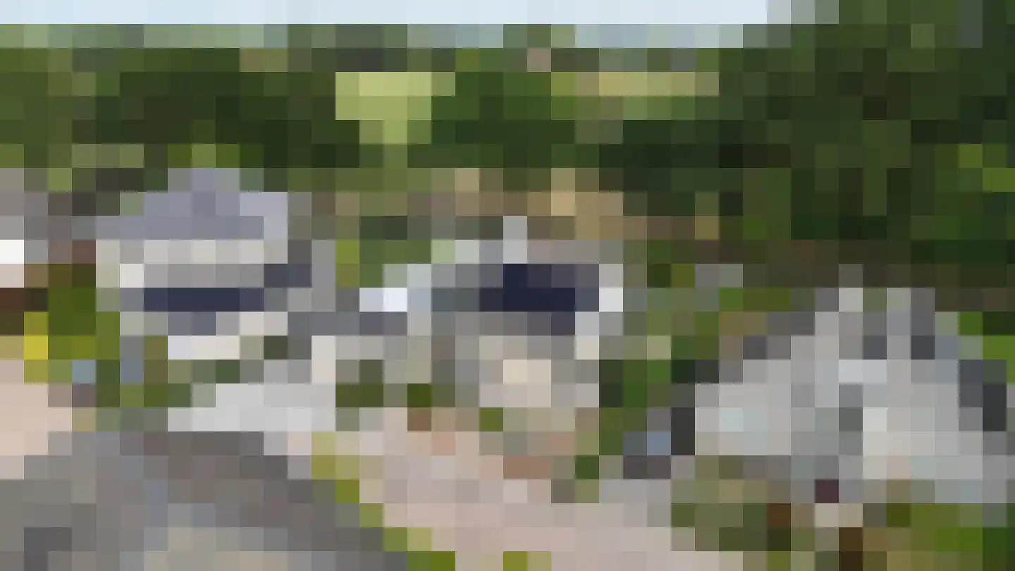 Kasteelhoeve 13 Deurne thumbnail 51