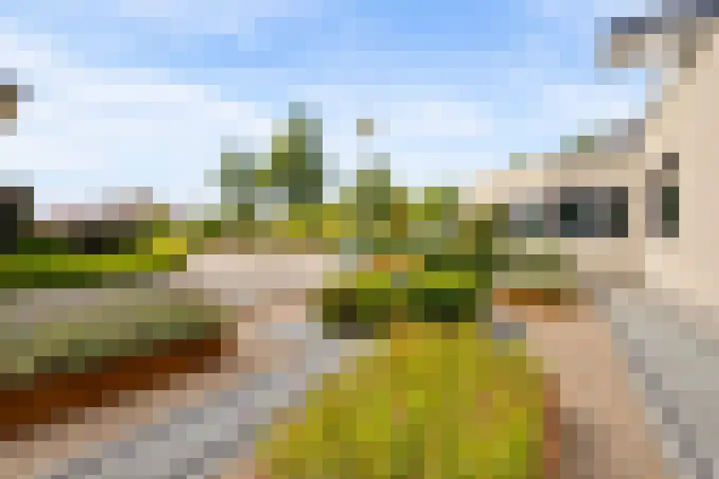 Kasteelhoeve 13 Deurne thumbnail 52