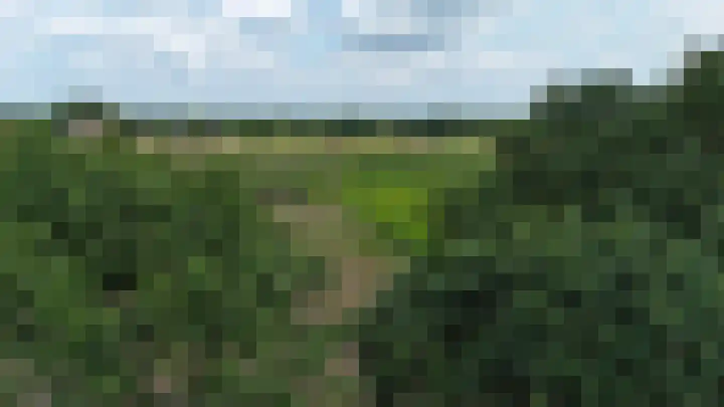 Kasteelhoeve 13 Deurne thumbnail 55
