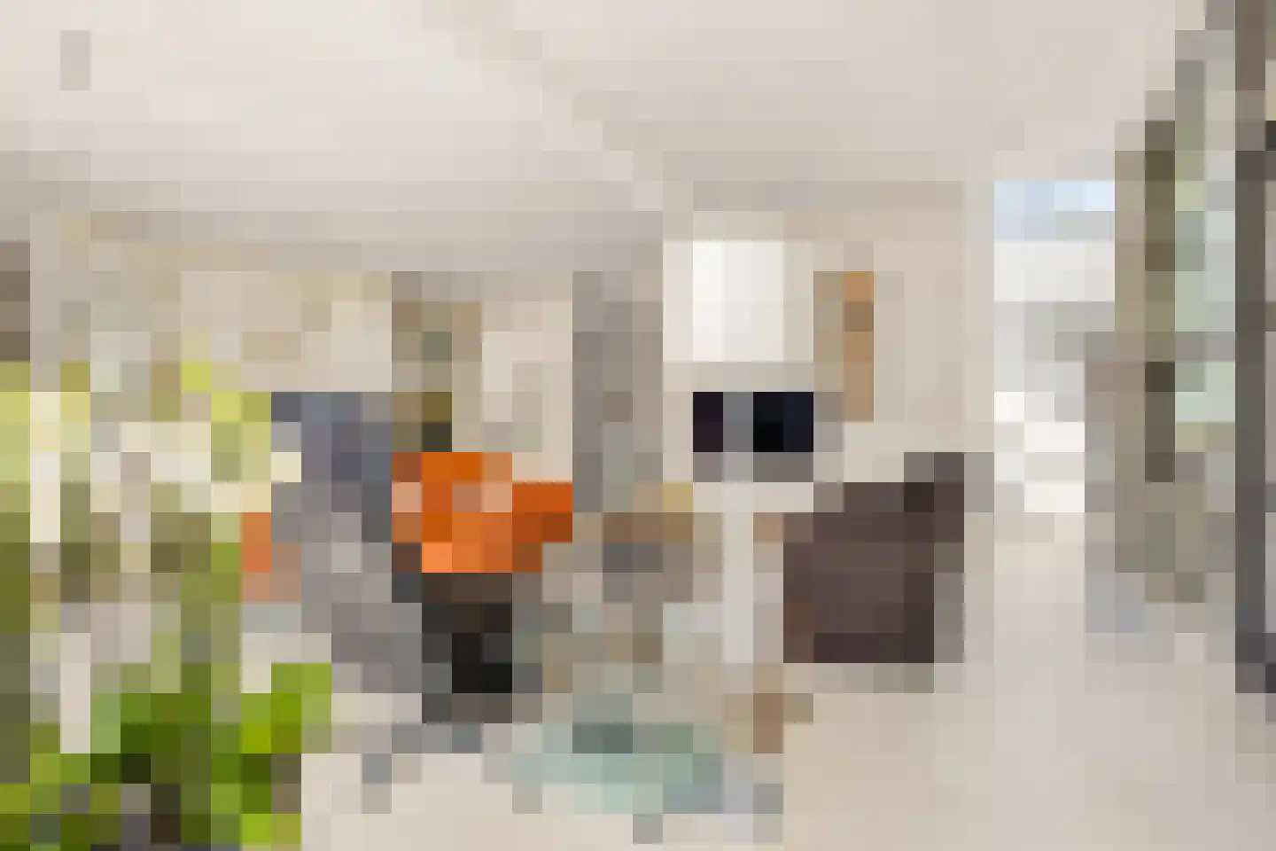 Kasteelhoeve 13 Deurne thumbnail 8