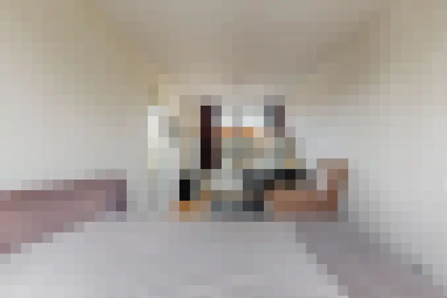 Kasteelhof 11 Druten thumbnail 22
