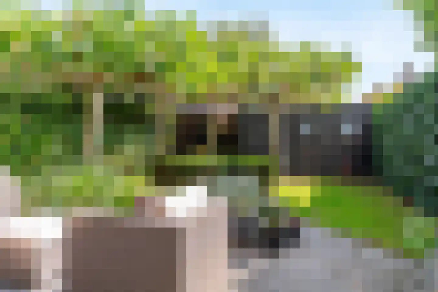 Kasteelhof 11 Druten thumbnail 38