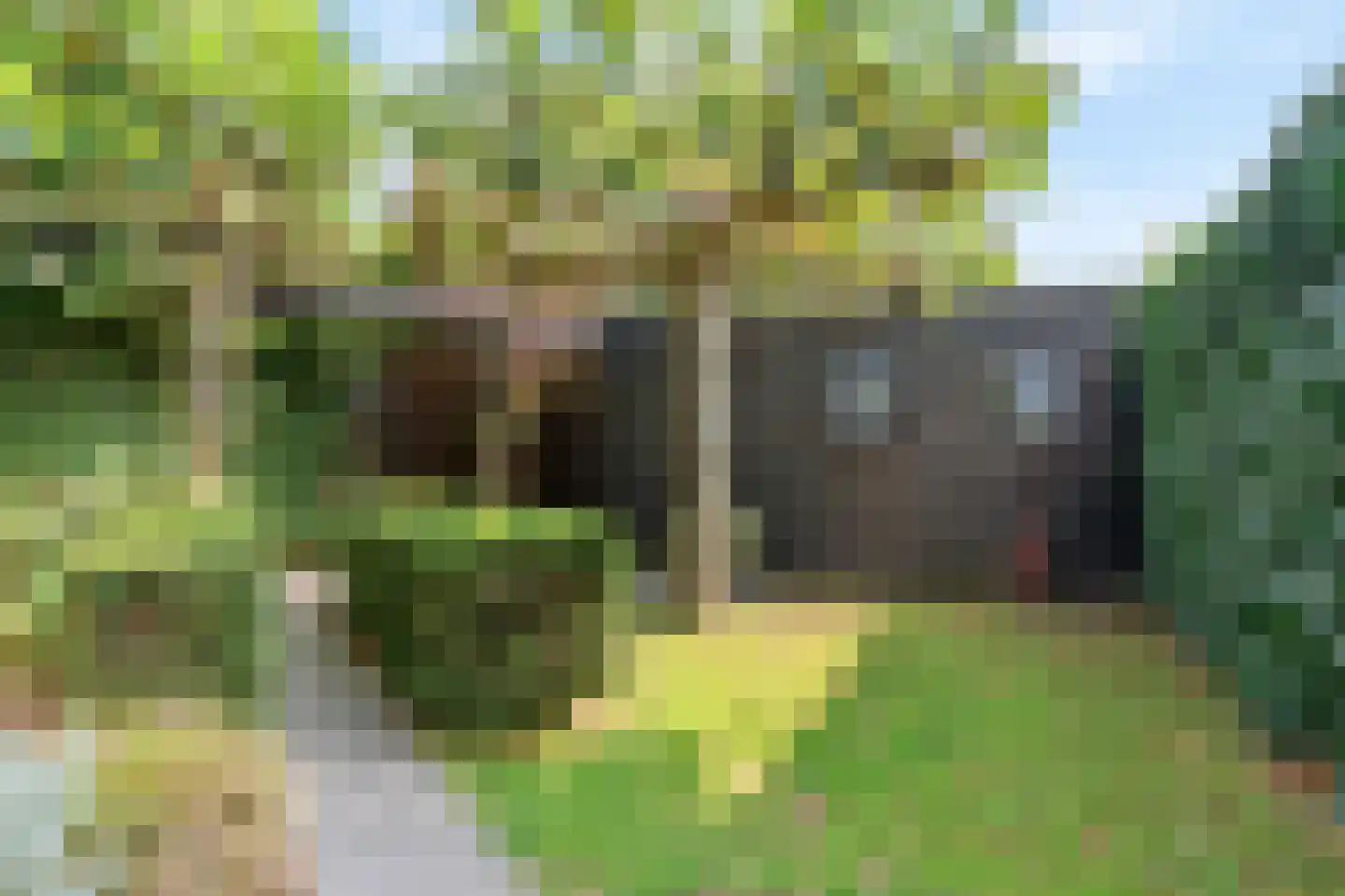 Kasteelhof 11 Druten thumbnail 40