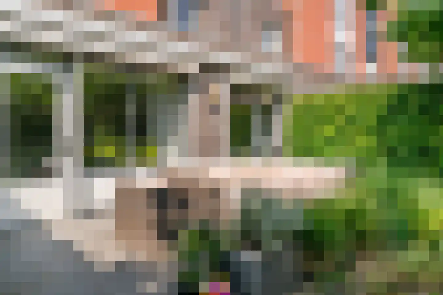 Kasteelhof 11 Druten thumbnail 42