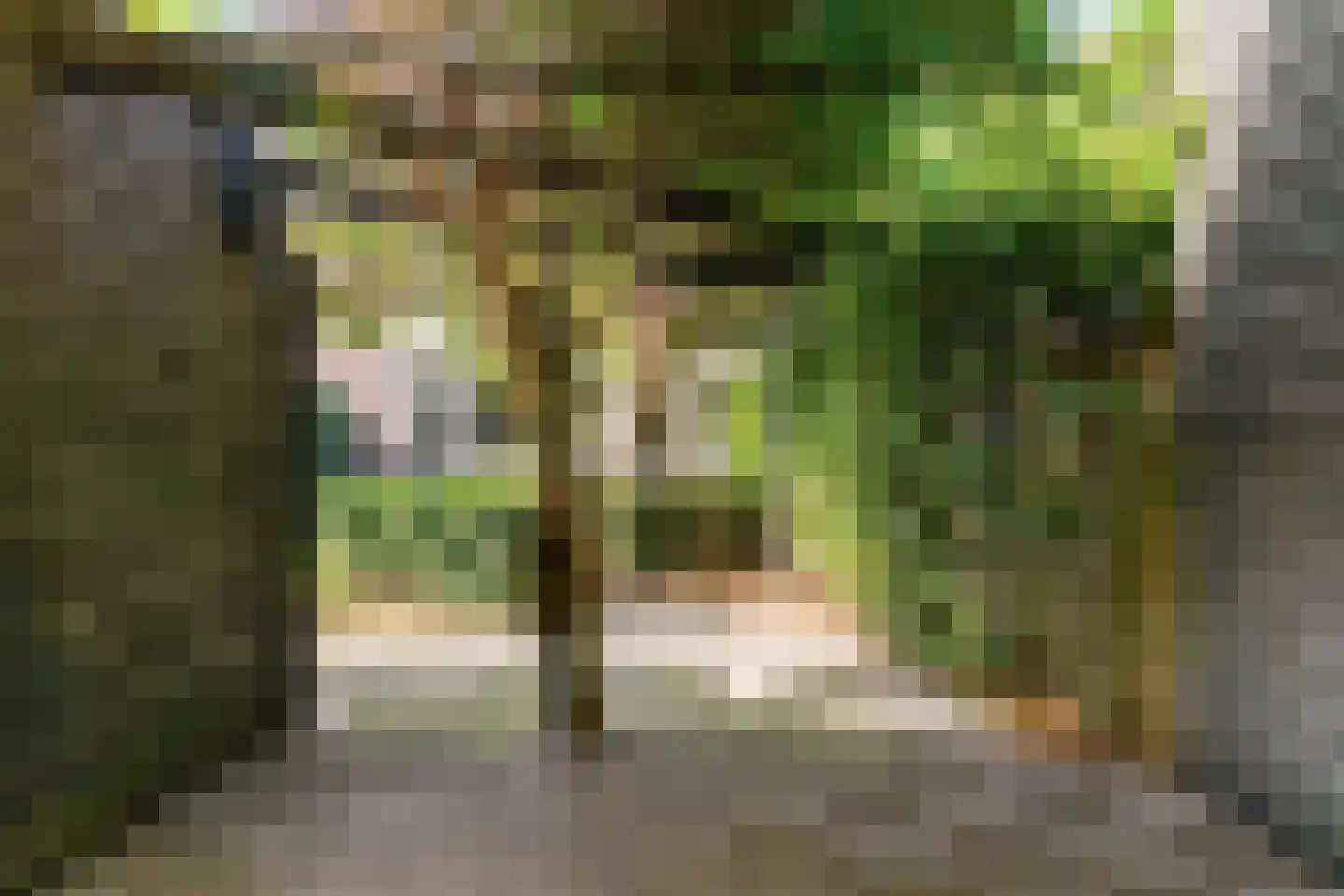 Kasteelhof 11 Druten thumbnail 47
