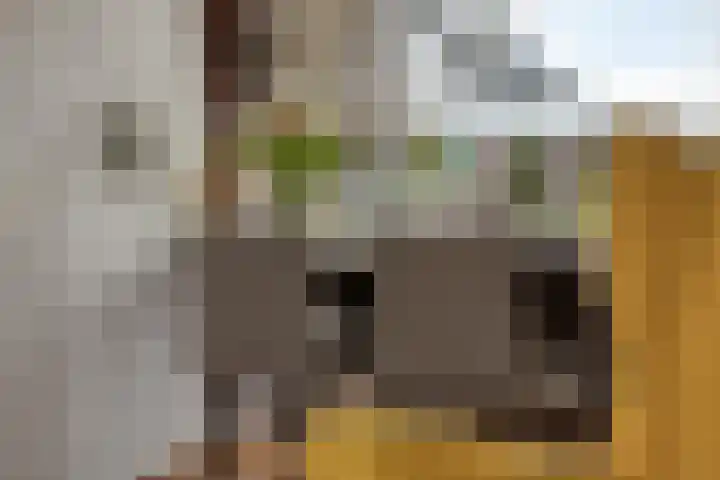 Kasteelhof 15 Leiden thumbnail 13