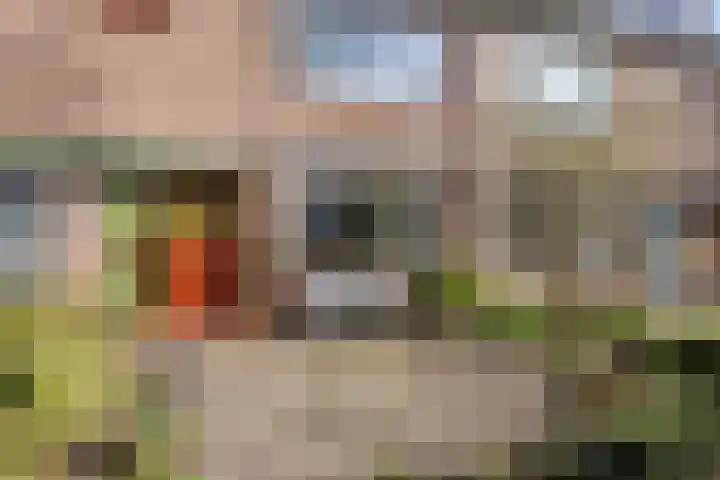Kasteelhof 15 Leiden thumbnail 8