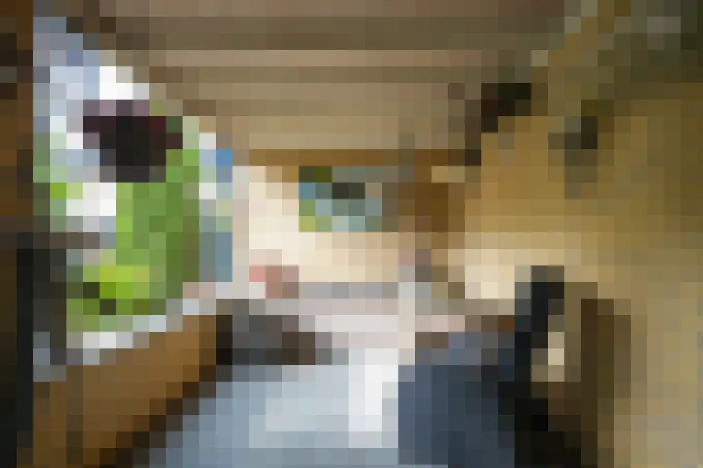 Kasteellaan 1 Apeldoorn thumbnail 34