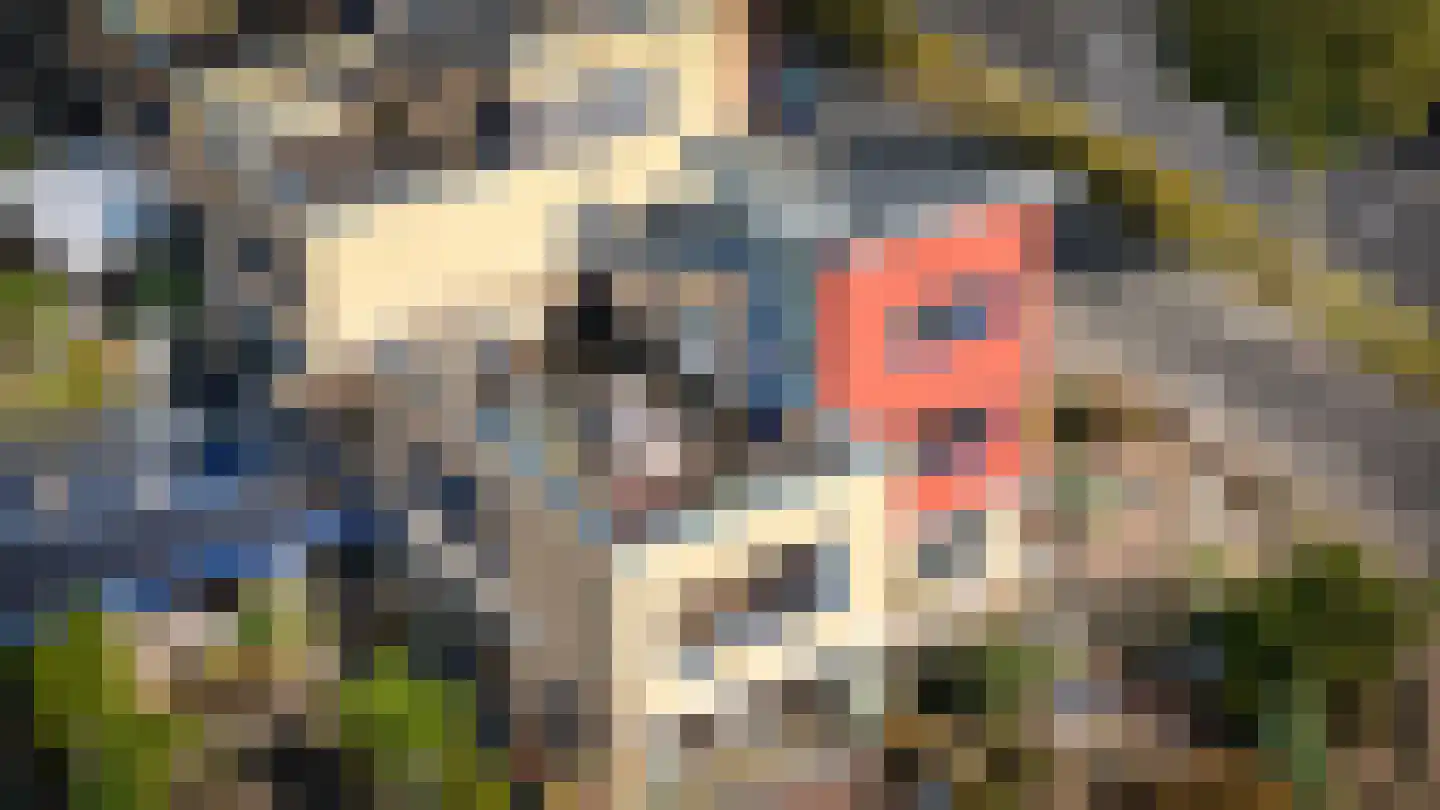 Kasteellaan 1 Apeldoorn thumbnail 49