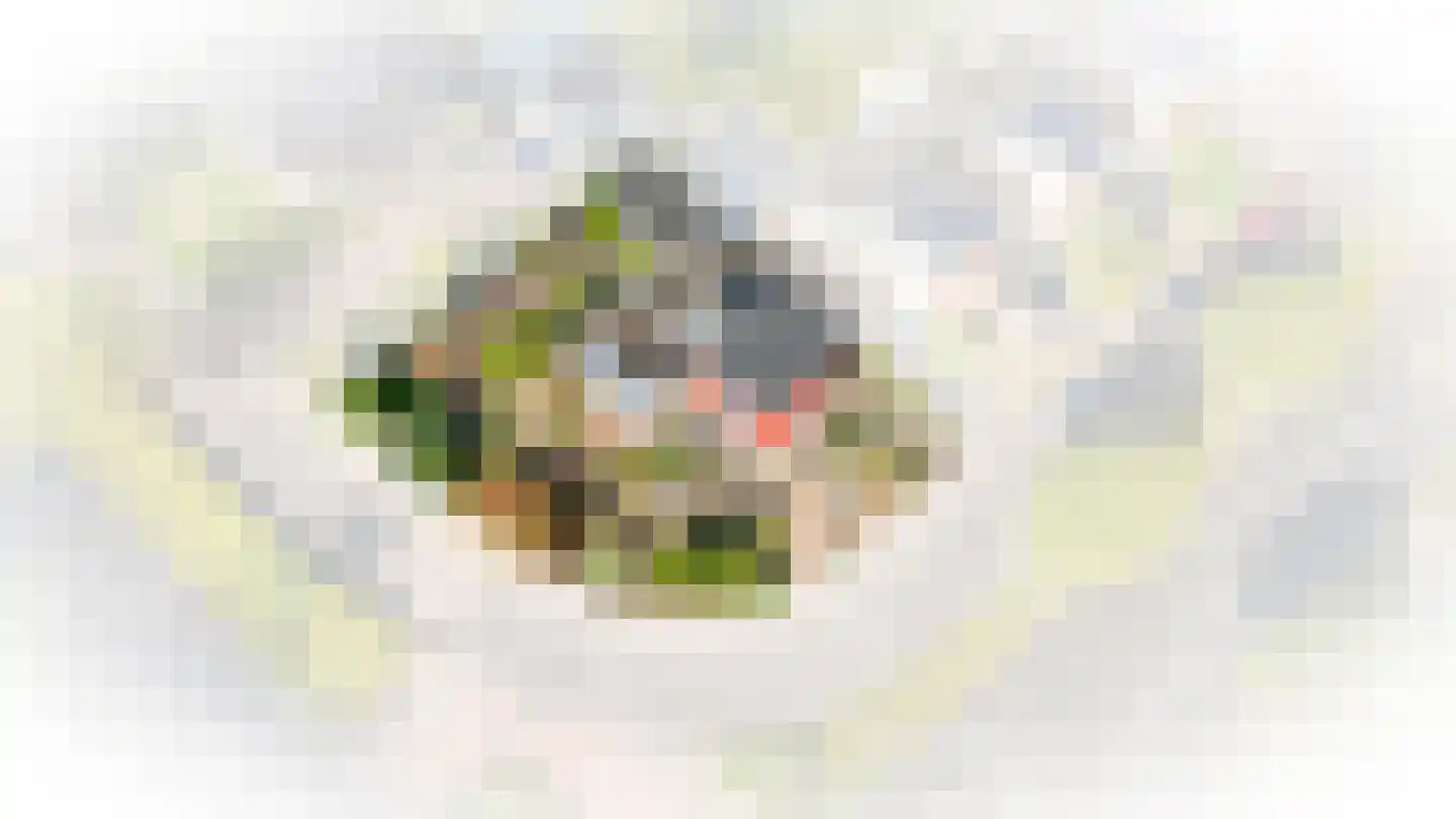 Kasteellaan 1 Apeldoorn thumbnail 50