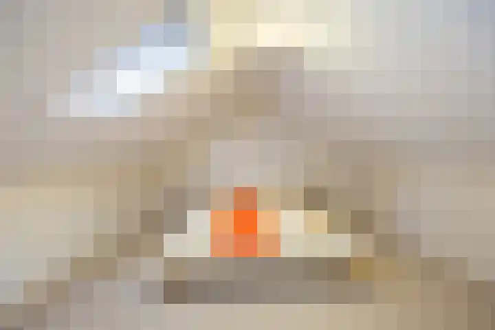 Kasteellaan 1 Druten thumbnail 27