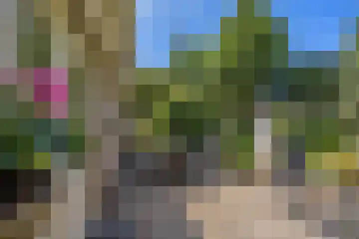 Kasteellaan 1 Druten thumbnail 31