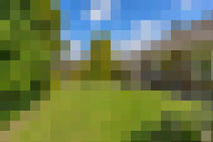 Kasteellaan 1 Druten thumbnail 33