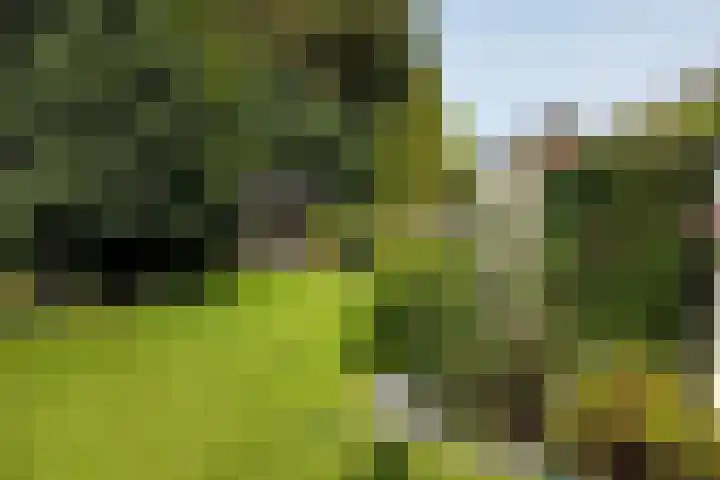 Kasteellaan 1 Druten thumbnail 34