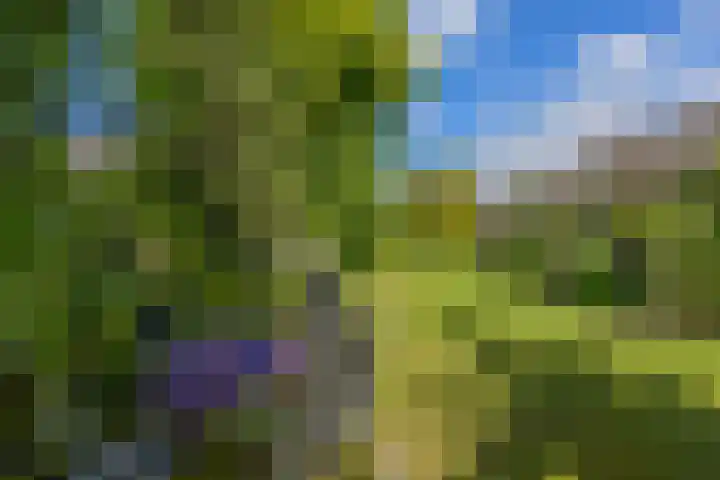 Kasteellaan 1 Druten thumbnail 35