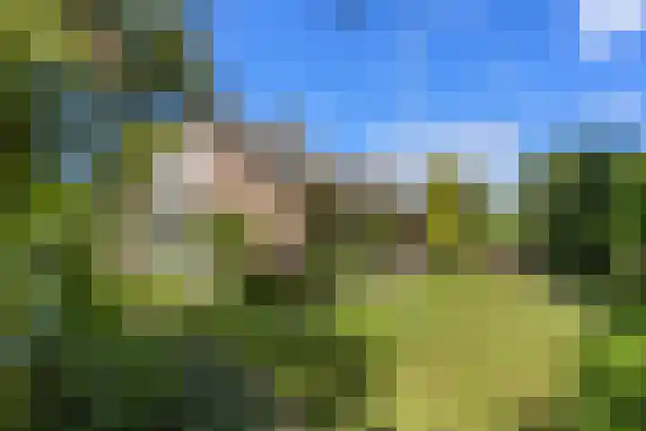 Kasteellaan 1 Druten thumbnail 36