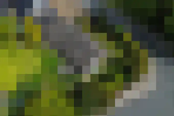 Kasteellaan 1 Druten thumbnail 43