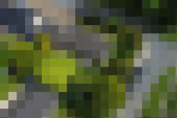Kasteellaan 1 Druten thumbnail 44