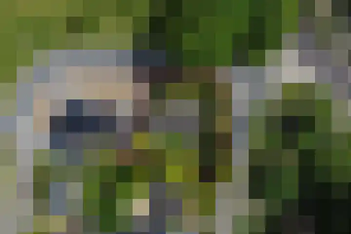 Kasteellaan 1 Druten thumbnail 45