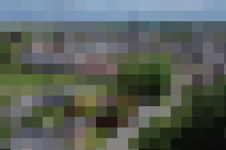 Kasteellaan 1 Druten thumbnail 46