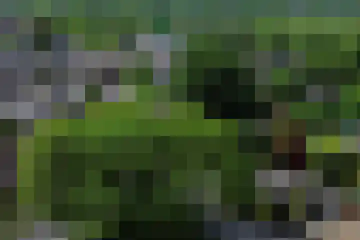 Kasteellaan 1 Druten thumbnail 47