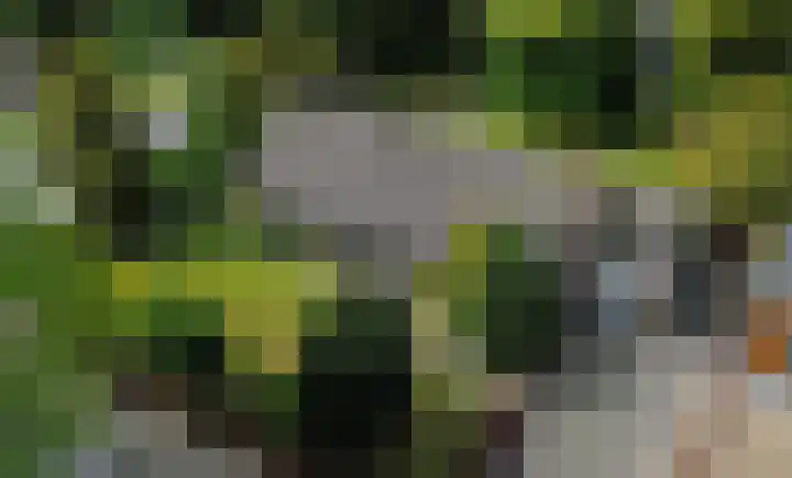 Kasteellaan 1 Druten thumbnail 52