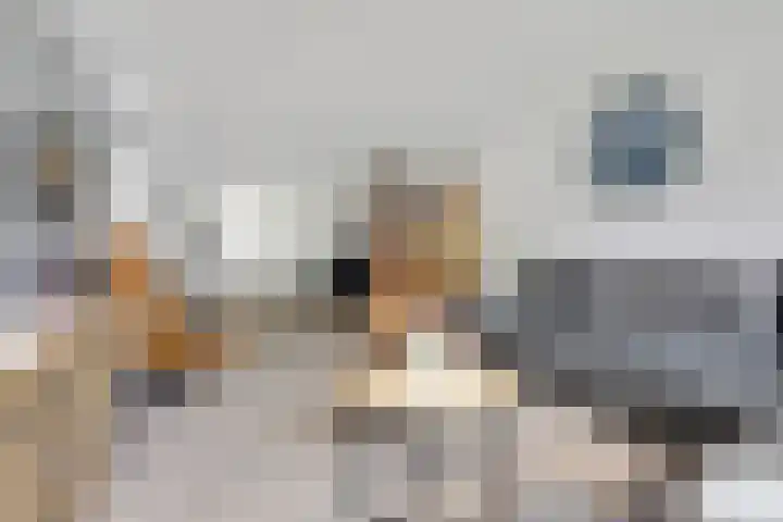 Kasteellaan 10 Well L thumbnail 11