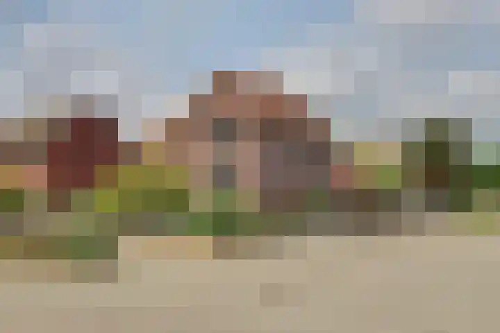 Kasteellaan 10 Well L foto 3