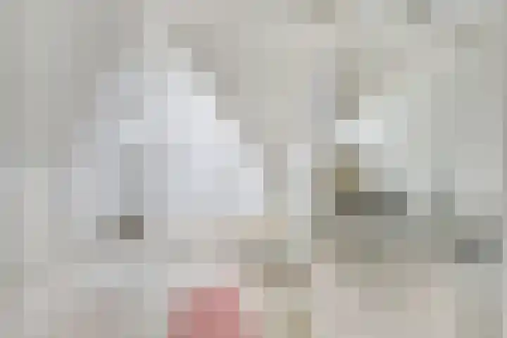Kasteellaan 10 Well L thumbnail 32