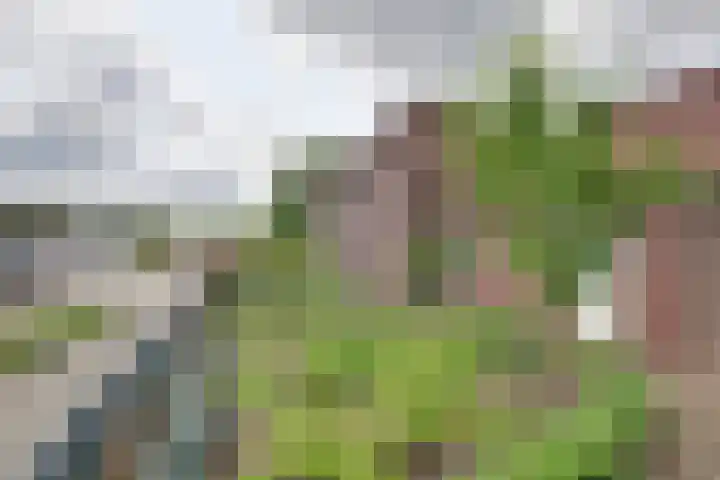 Kasteellaan 10 Well L thumbnail 39