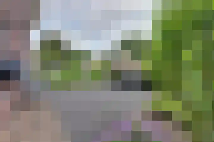 Kasteellaan 10 Well L thumbnail 40