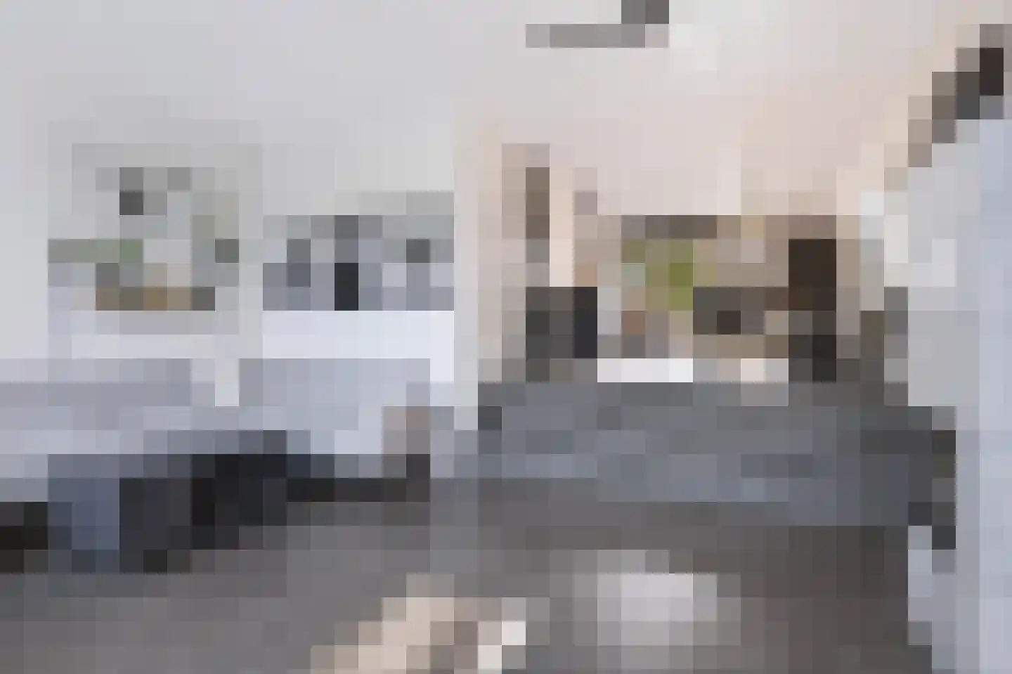 Kasteellaan 100 Apeldoorn thumbnail 10