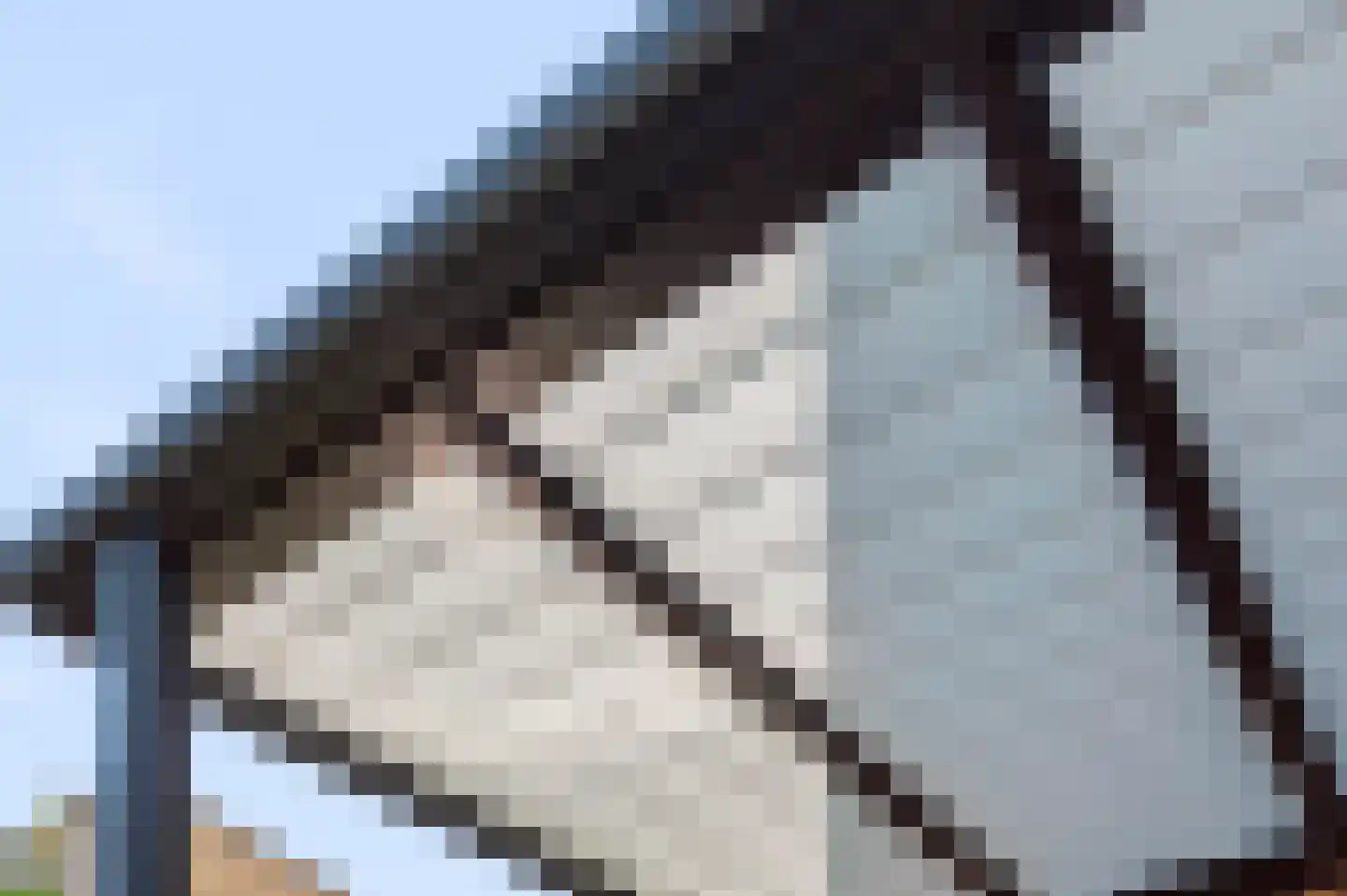 Kasteellaan 100 Apeldoorn thumbnail 8