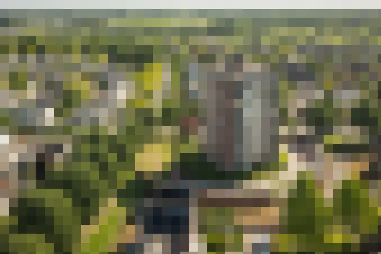 Kasteellaan 119 Apeldoorn thumbnail 4