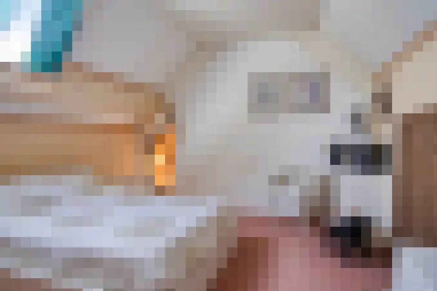 Kasteellaan 13 Etten-Leur thumbnail 29