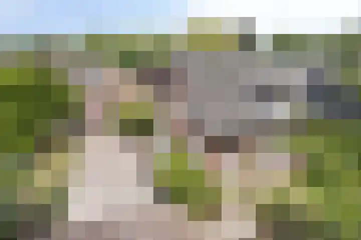 Kasteellaan 135 Wijchen