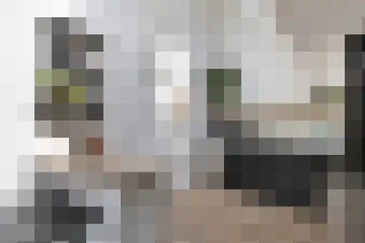 Kasteellaan 135 Wijchen thumbnail 17