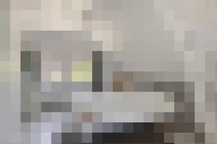 Kasteellaan 135 Wijchen thumbnail 32