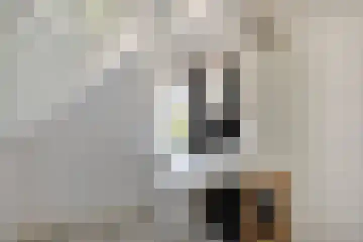 Kasteellaan 135 Wijchen thumbnail 33