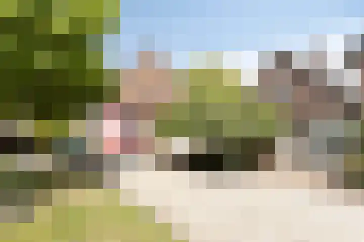 Kasteellaan 135 Wijchen thumbnail 34