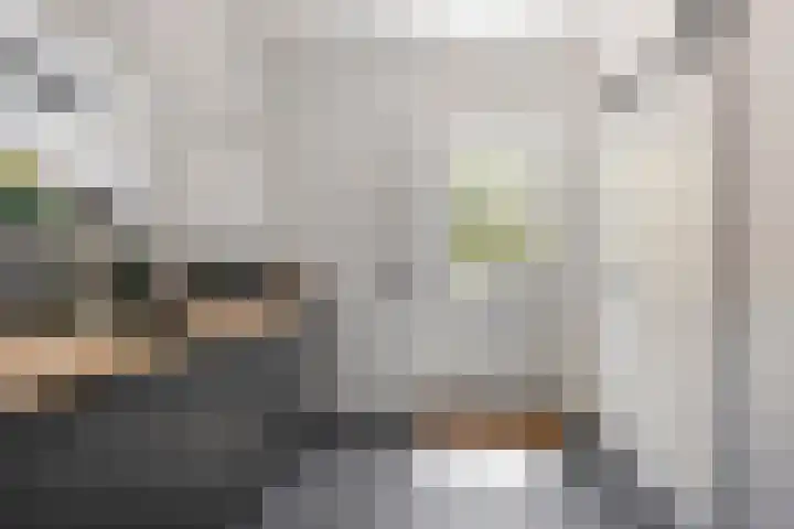 Kasteellaan 135 Wijchen thumbnail 37