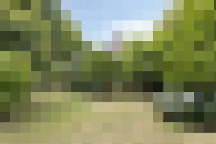 Kasteellaan 135 Wijchen thumbnail 44