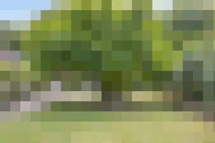 Kasteellaan 135 Wijchen thumbnail 48