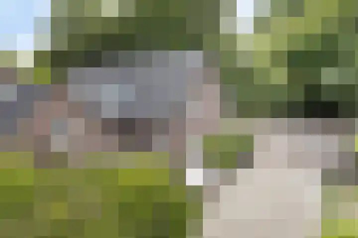 Kasteellaan 135 Wijchen thumbnail 49