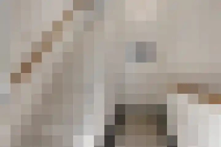 Kasteellaan 135 Wijchen thumbnail 8