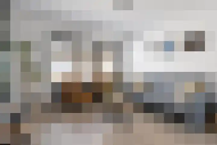 Kasteellaan 17 Etten-Leur thumbnail 14