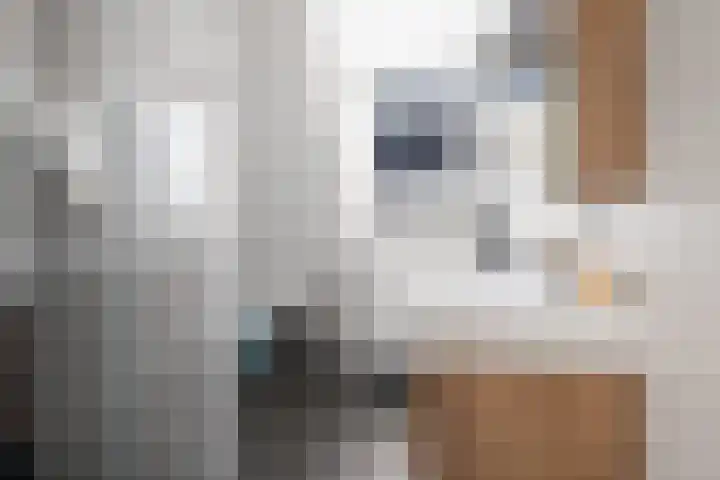 Kasteellaan 17 Etten-Leur thumbnail 24