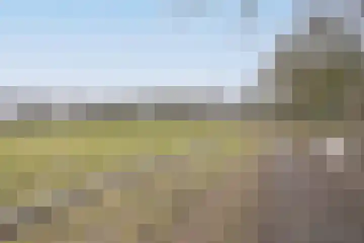 Kasteellaan 18 Loon op Zand thumbnail 17