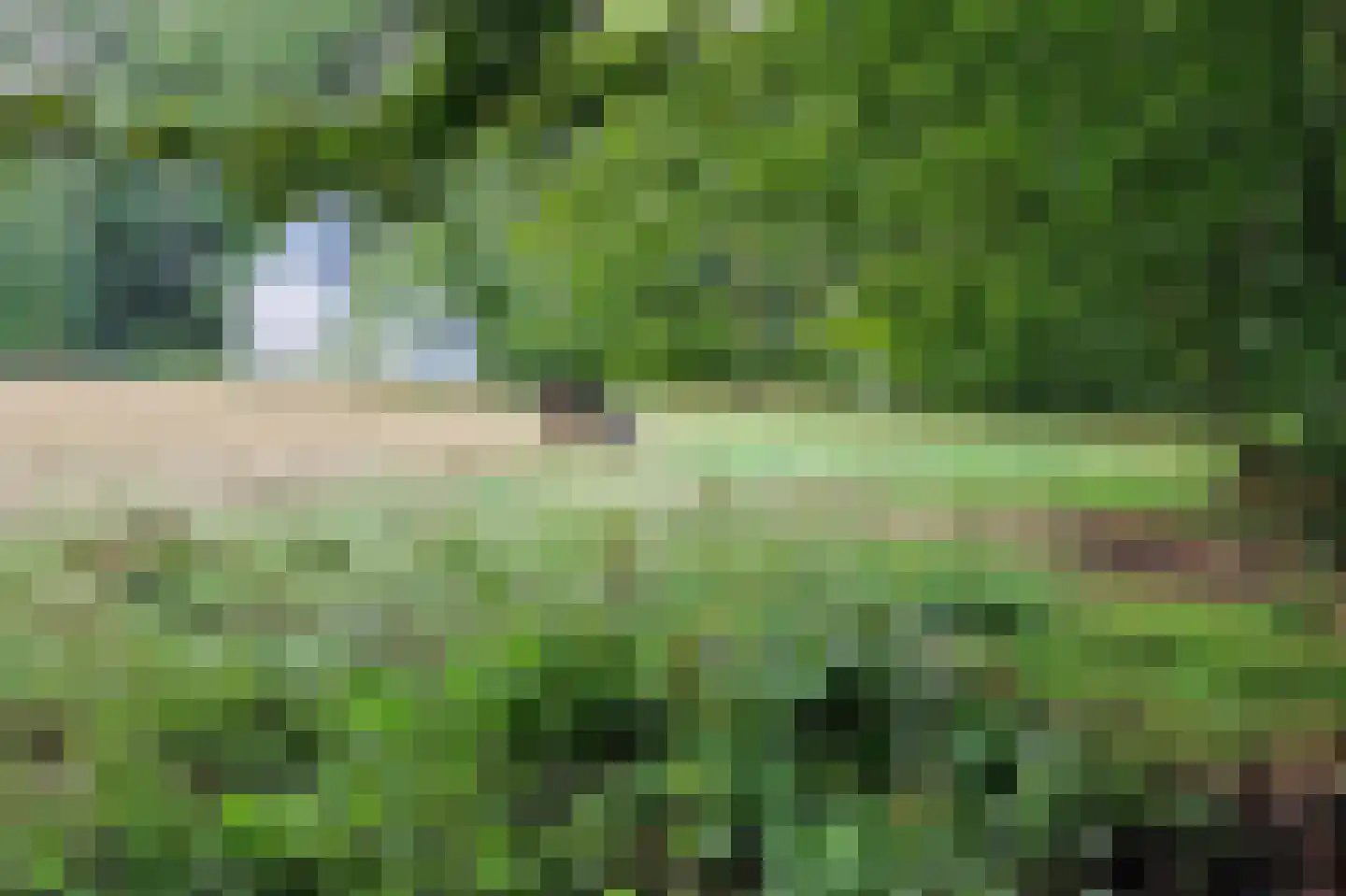 Kasteellaan 20 A Loon op Zand thumbnail 45