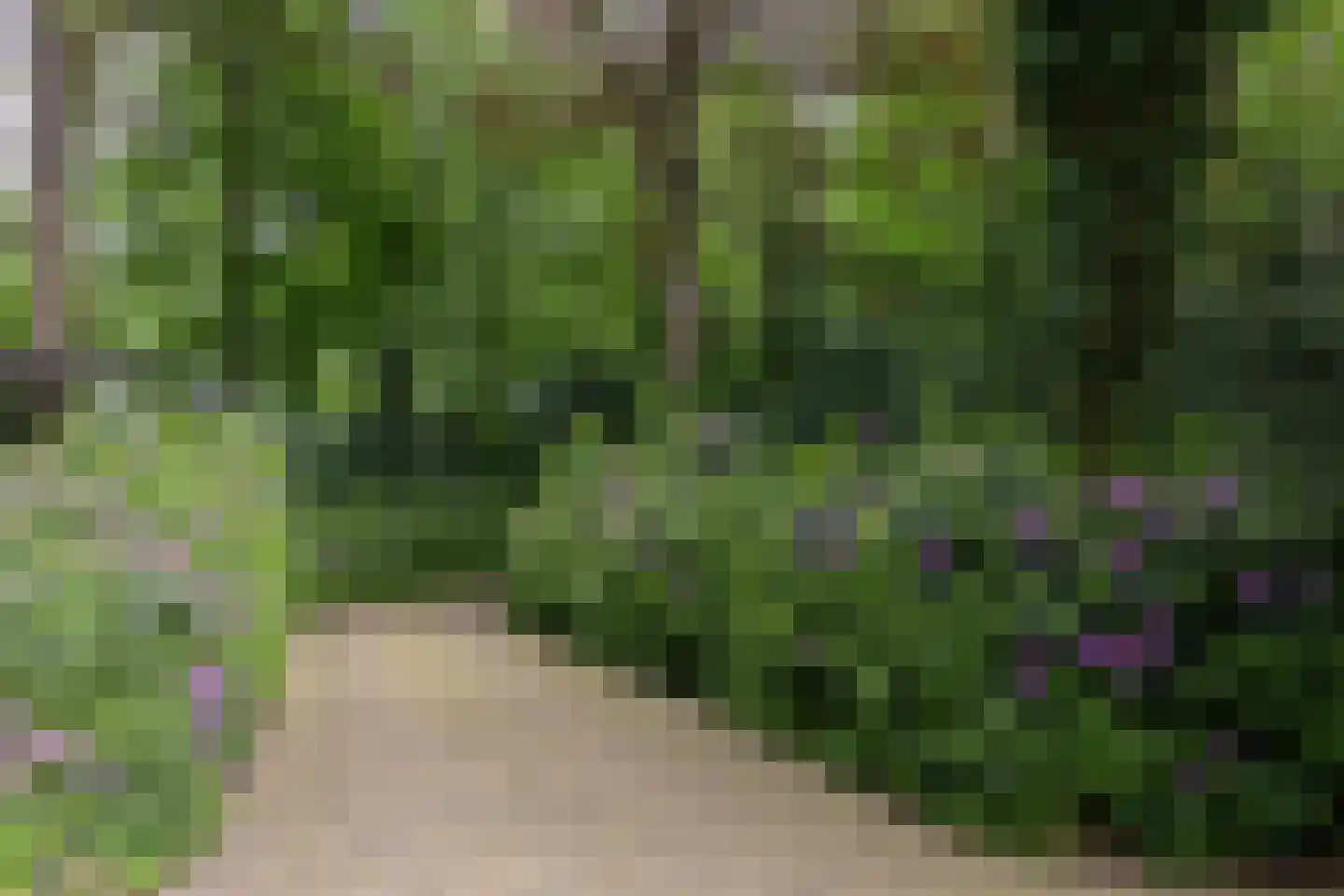 Kasteellaan 20 A Loon op Zand thumbnail 8